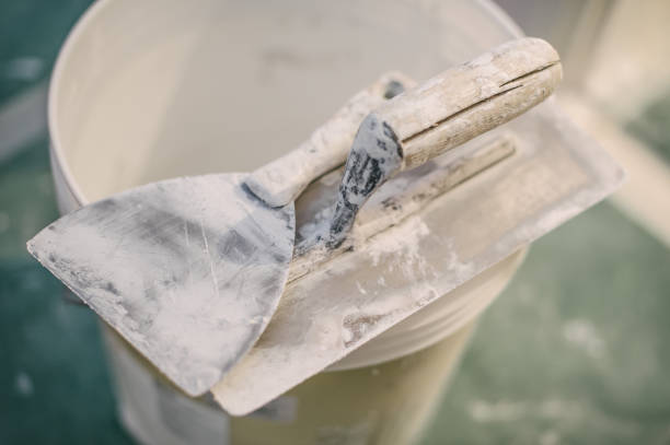 Mold Odor Removal Services in Rich Hill, MO